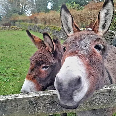 M042 Teach Trianlair Дом отдыха Toormakeady