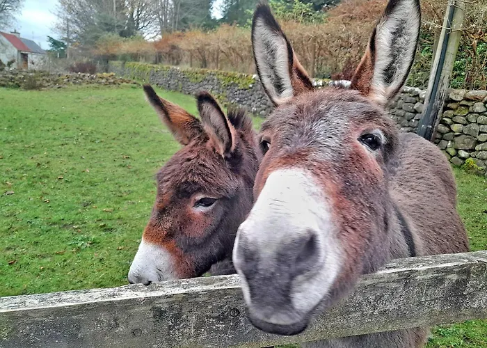 M042 Teach Trianlair Feriehus Toormakeady